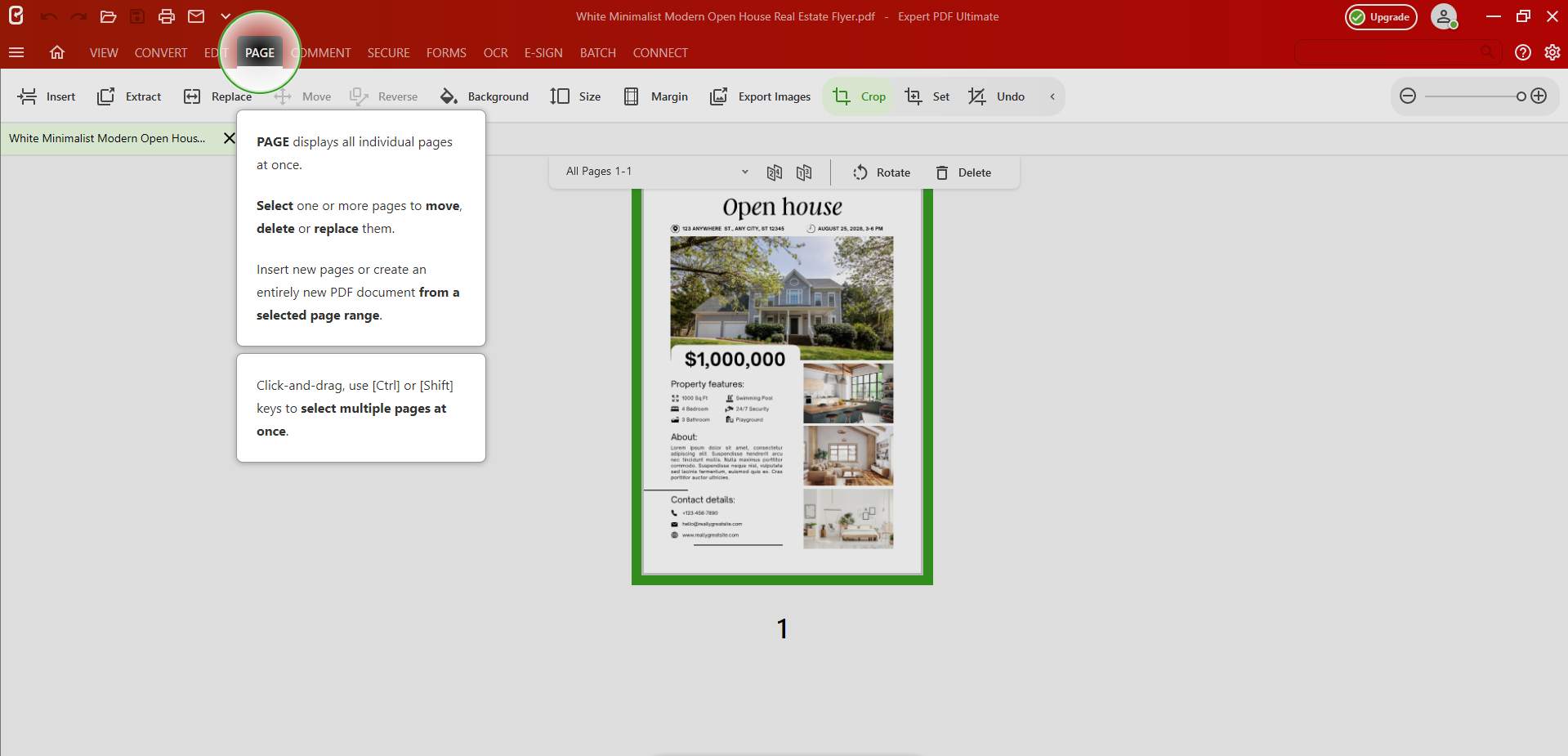 screenshot of Expert PDF